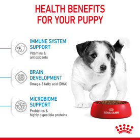 Royal Canin Puppy Mini Dog Food