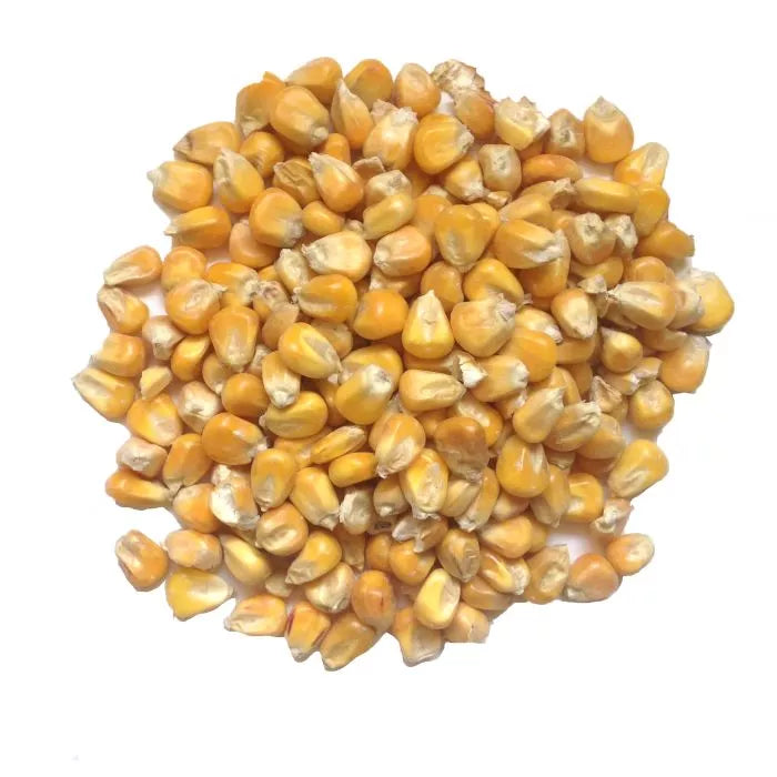 I'Anson Maize Whole
