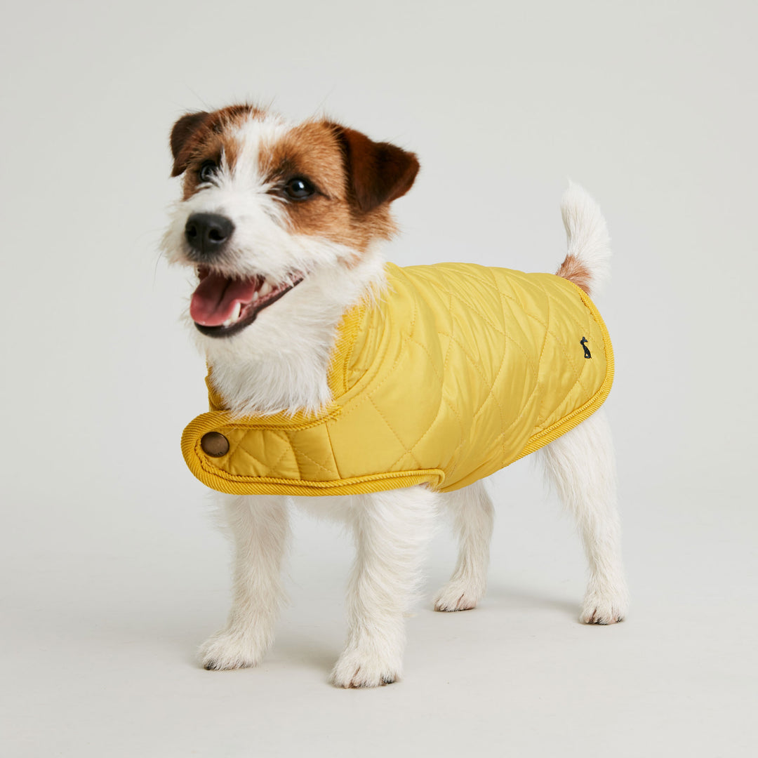 The Joules Antique Gold Quilted Dog Coat in Gold#Gold