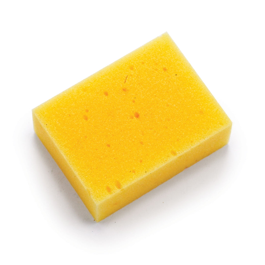Large Economy Sponge
