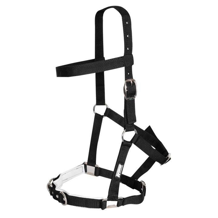 The Economy Lunge Cavesson in Black#Black