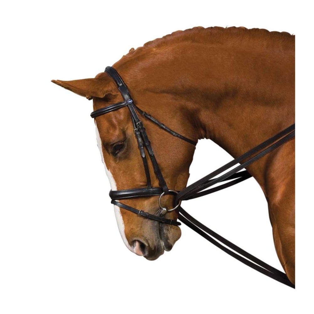 The Kincade Web Draw Reins Set in Black#Black