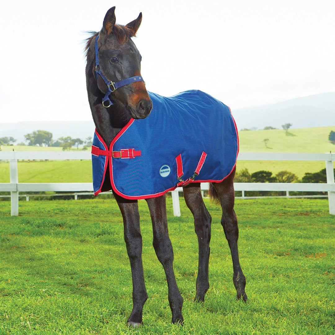 The Weatherbeeta Original Foal 220g Standard Turnout Rug in Navy#Navy