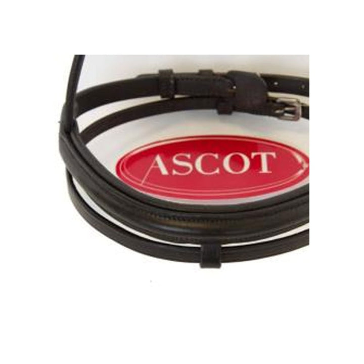 Ascot Padded Flash Noseband