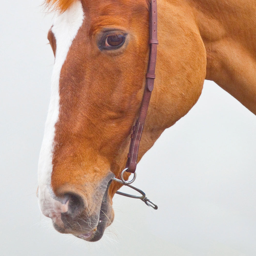 Shires Chifney Anti-Rearing Bit