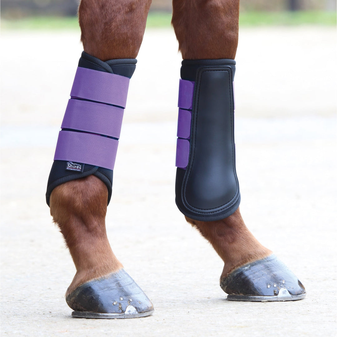 The Shires Arma Neoprene Brushing Boots in Purple#Purple