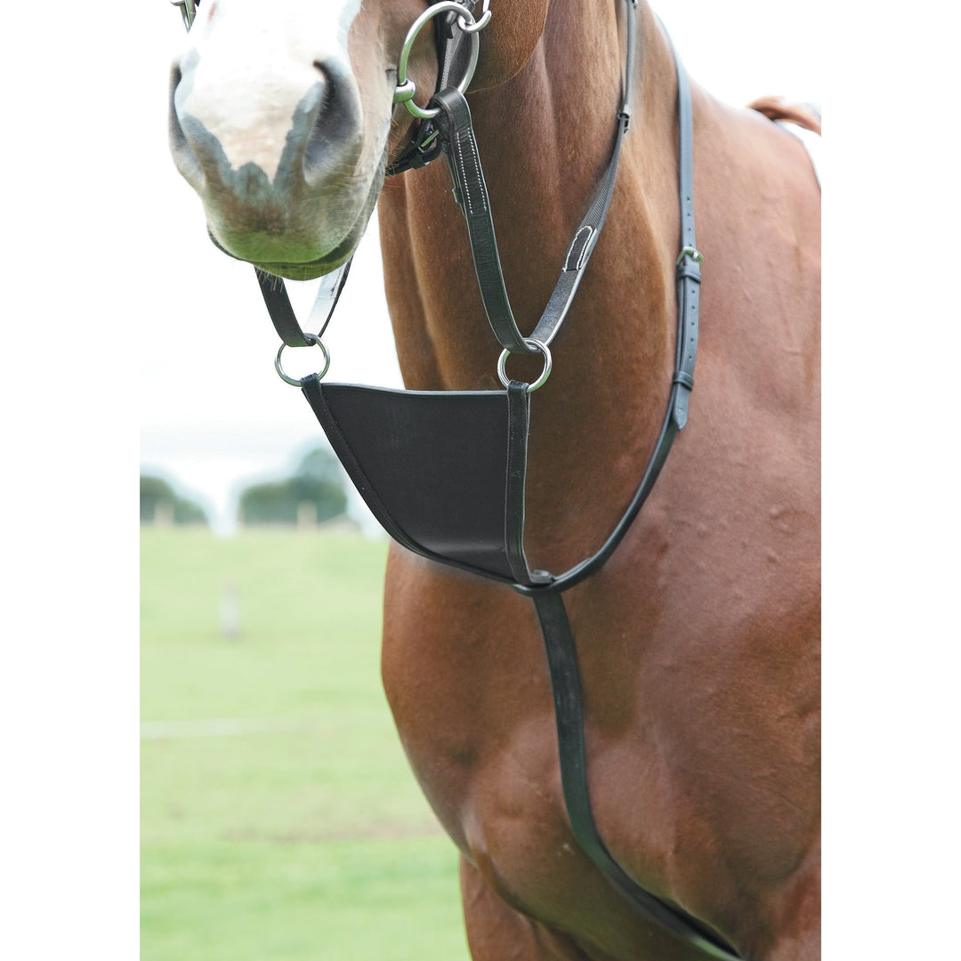 The Shires Bib Martingale in Black#Black