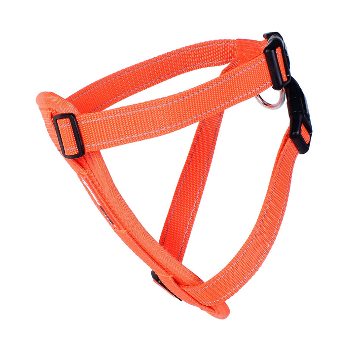 Ezydog Chest Plate Harness for Dogs