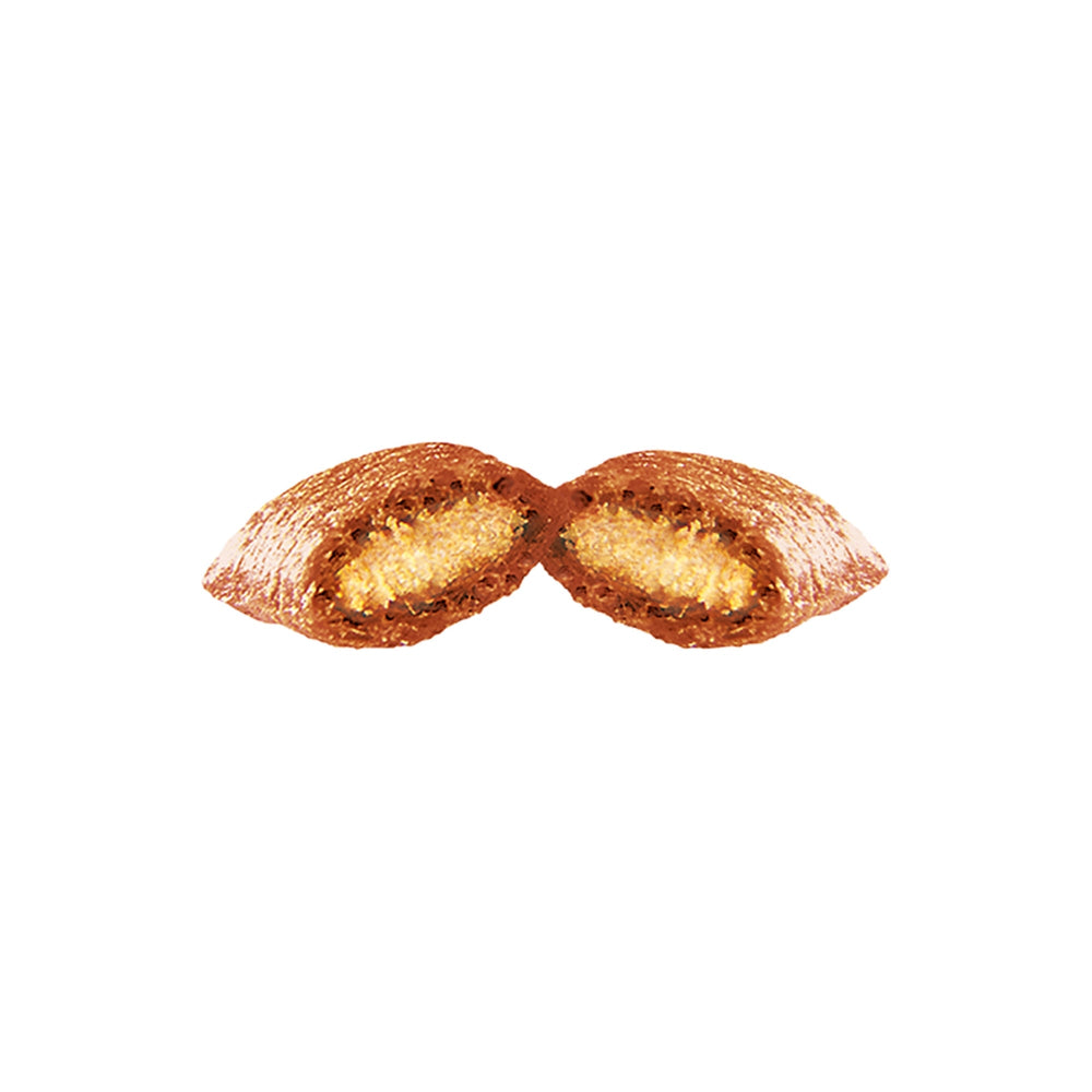Dreamies Cat Treats with Fish