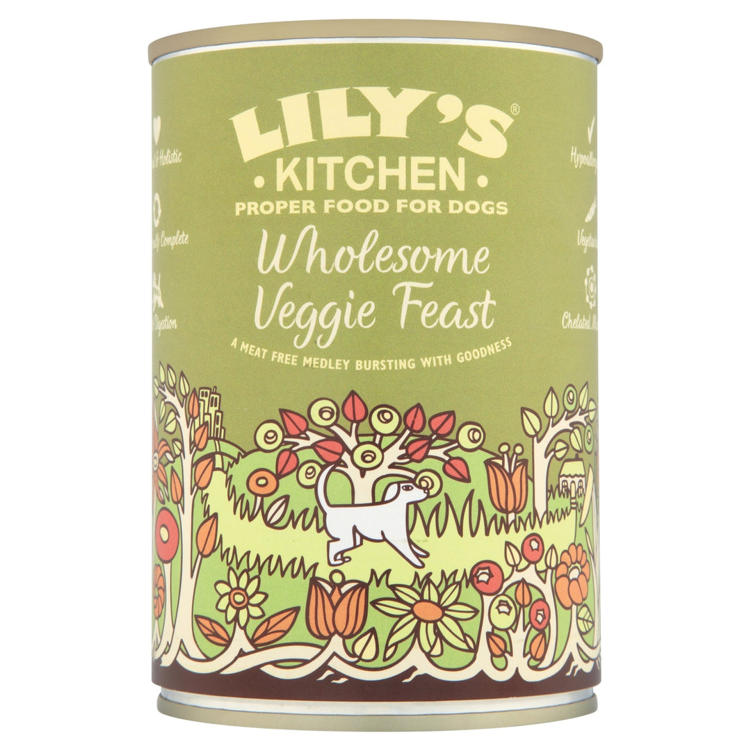 Lilys Kitchen Wholesome Veggie Feast for Dogs 375g