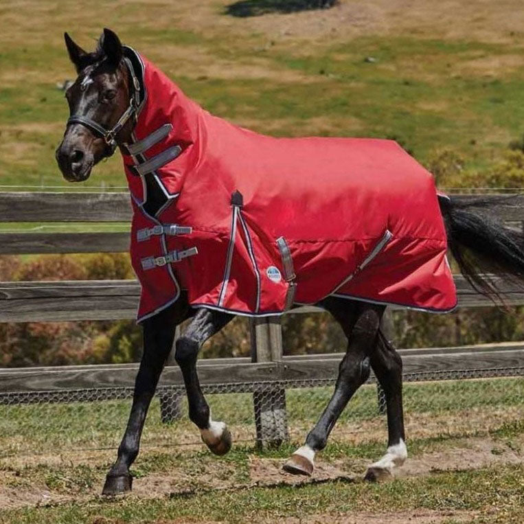 Weatherbeeta Comfitec Classic 300g Heavy Combo Neck Turnout Rug