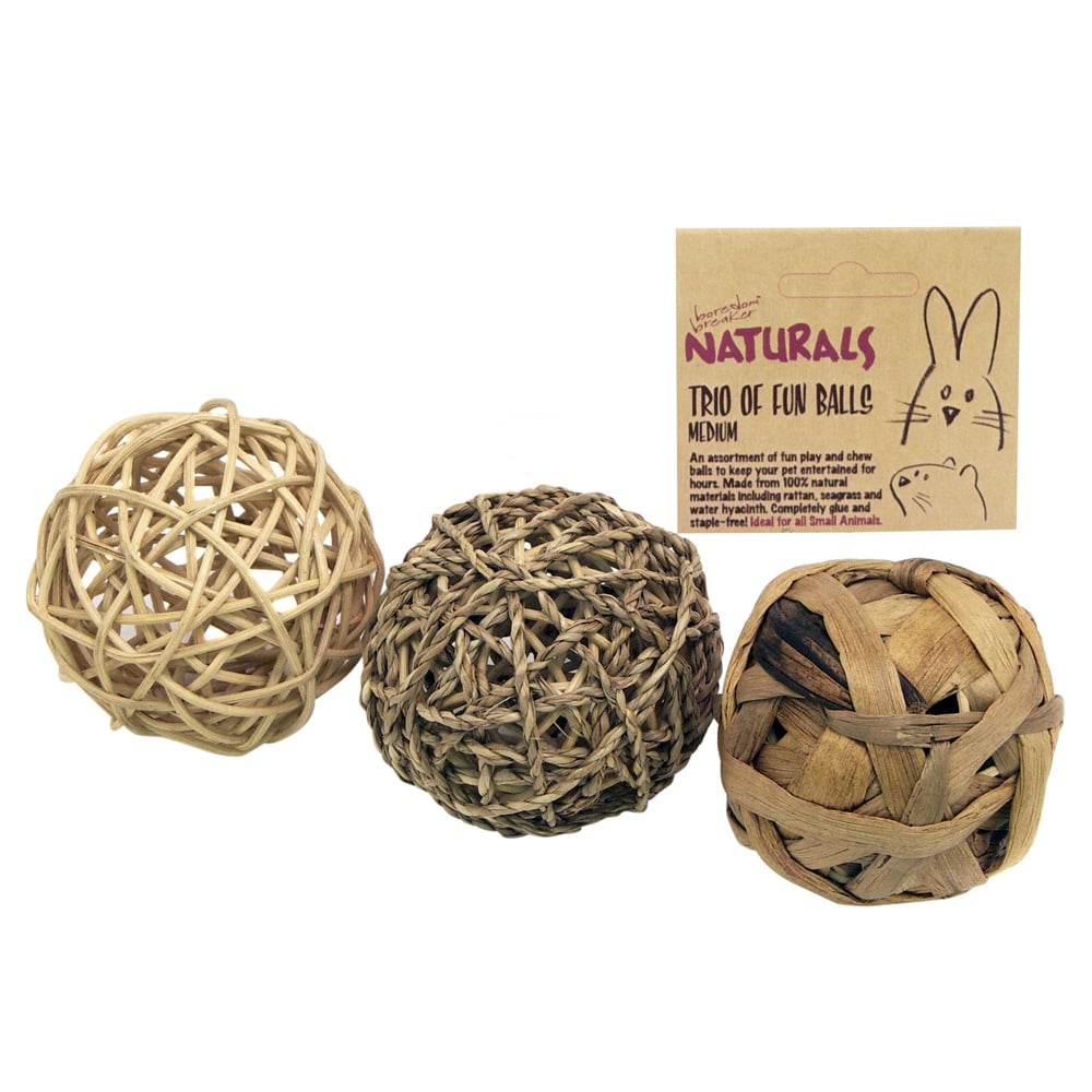 Naturals Trio of Fun Ball Medium