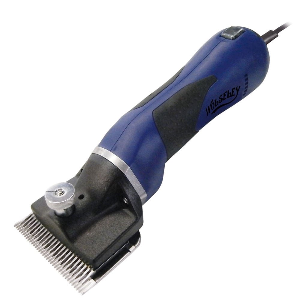 The Wolseley Lark Clippers in Blue#Blue