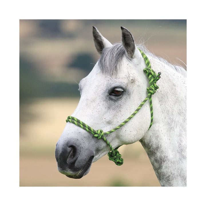 Shires Adjustable Rope Halter