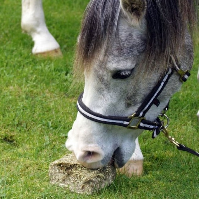 Simple System MeadowBrix Grass Blocks 20kg
