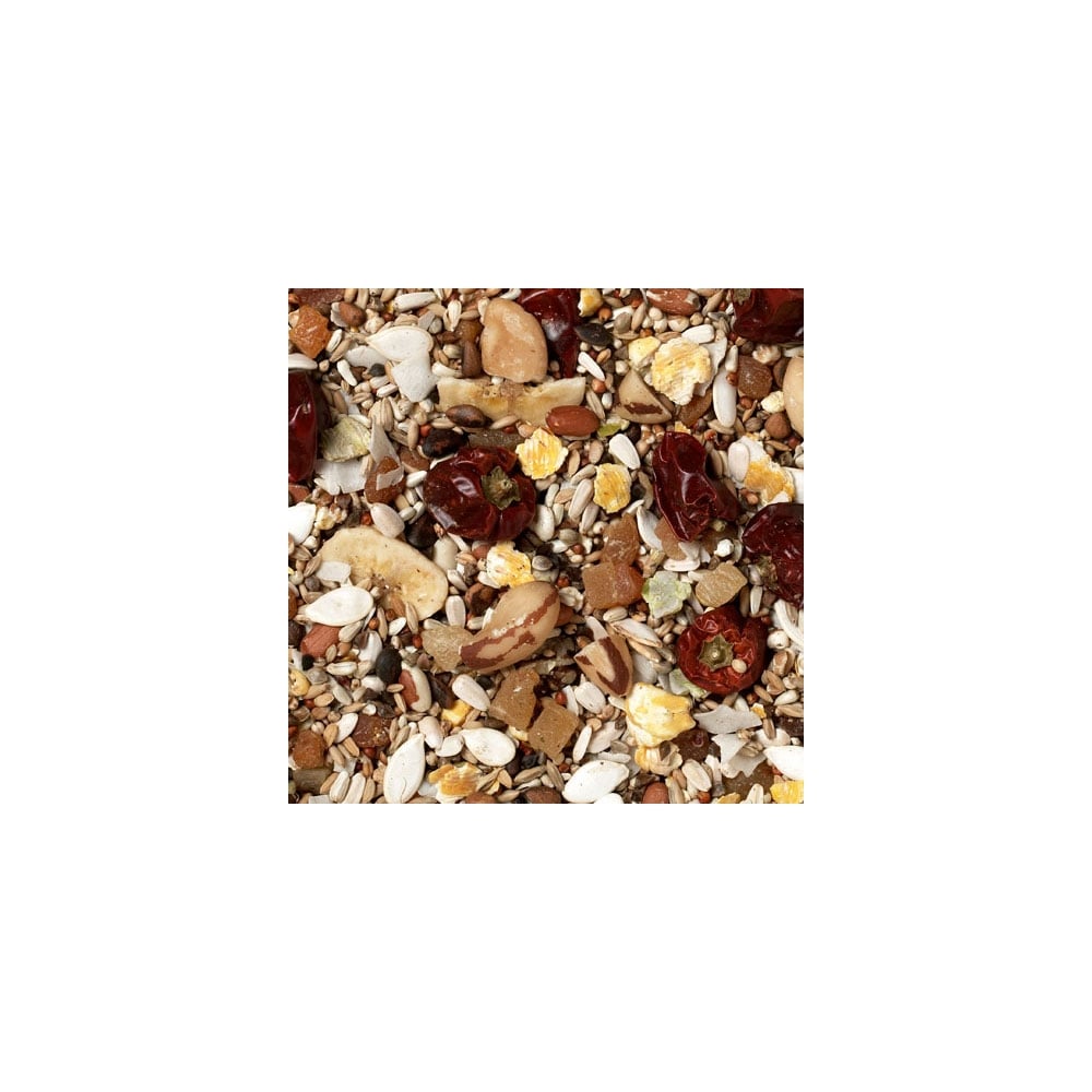 Johnston & Jeff African Grey Parrot Low Sunflower Blend