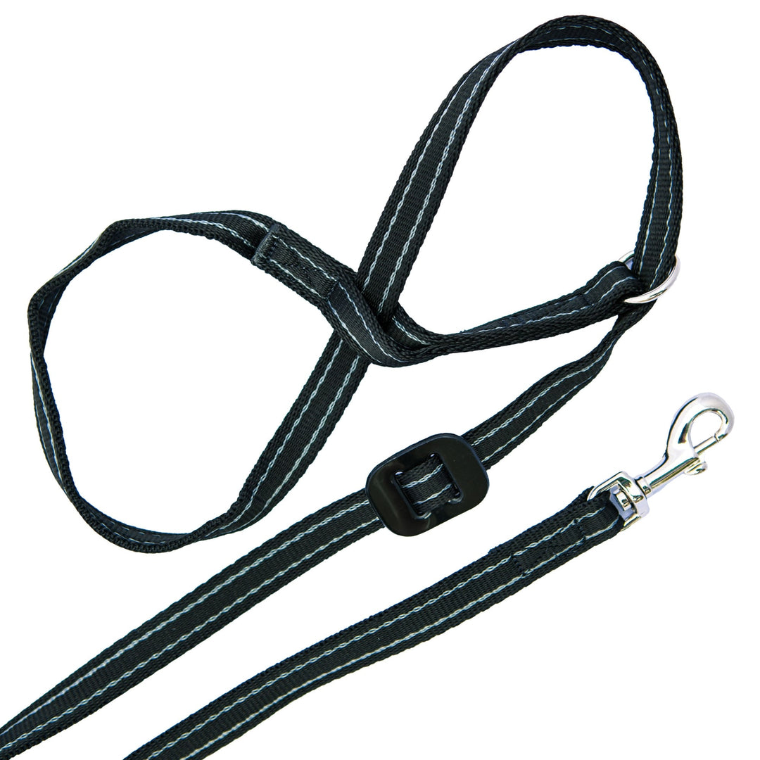 The Gencon All-in-One Clip to Collar Headcollar in Silver#Silver
