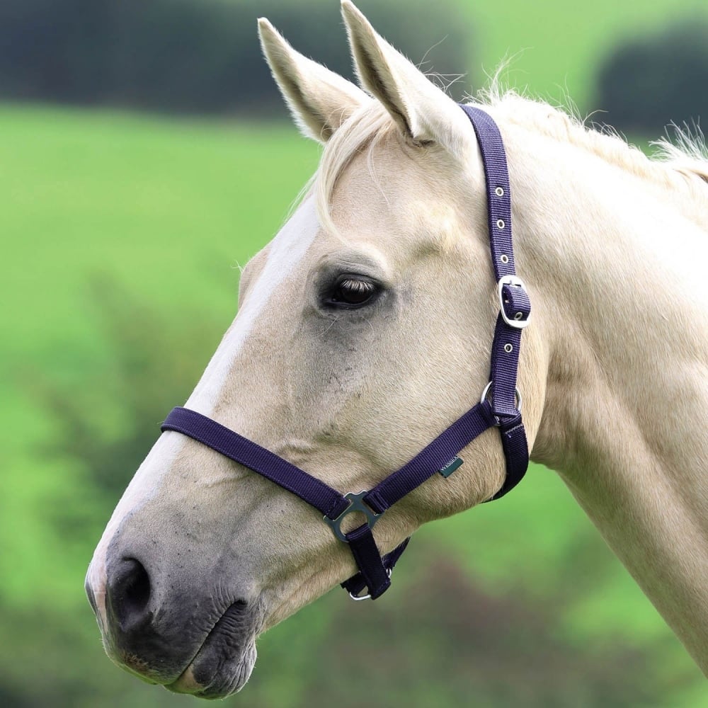 The Shires Wessex Nylon Headcollar in Navy#Navy