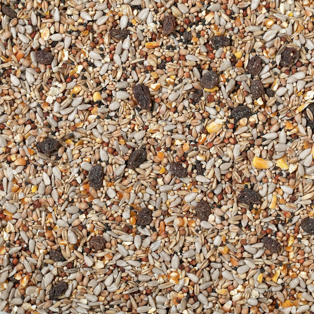 Johnston & Jeff Superior Husk Free Wild Bird Food