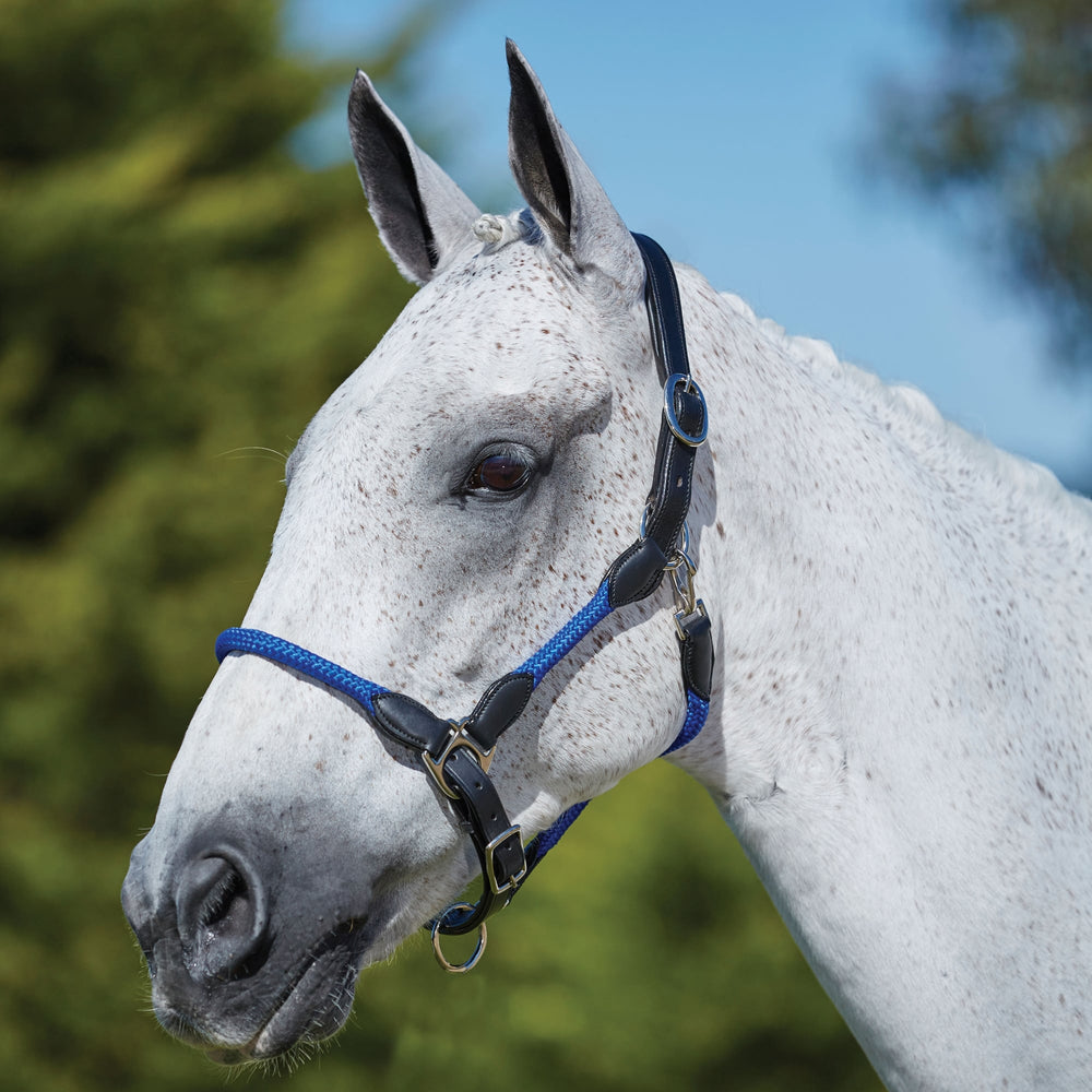 The Kincade Leather Rope Headcollar in Blue#Blue