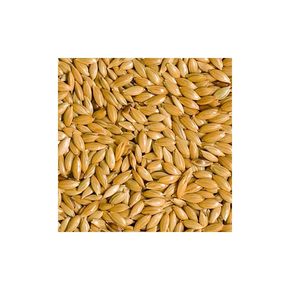 Johnston & Jeff Plain Canary Seed