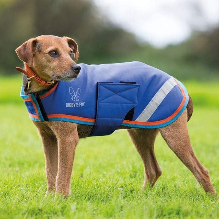 The Digby & Fox Waterproof Dog Coat in Blue#Blue
