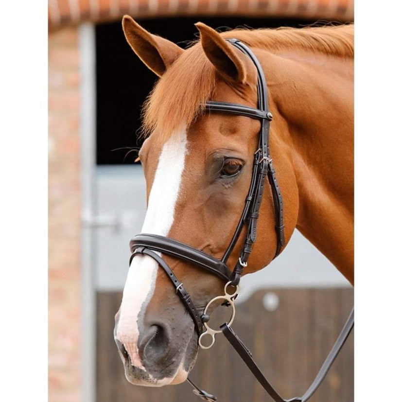 The Premier Equine Delizioso Snaffle Bridle with Flash Noseband in Black#Black