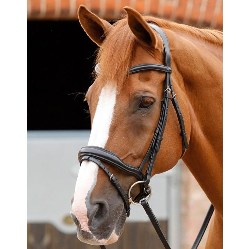 Premier Equine Favoloso Anatomic Bridle