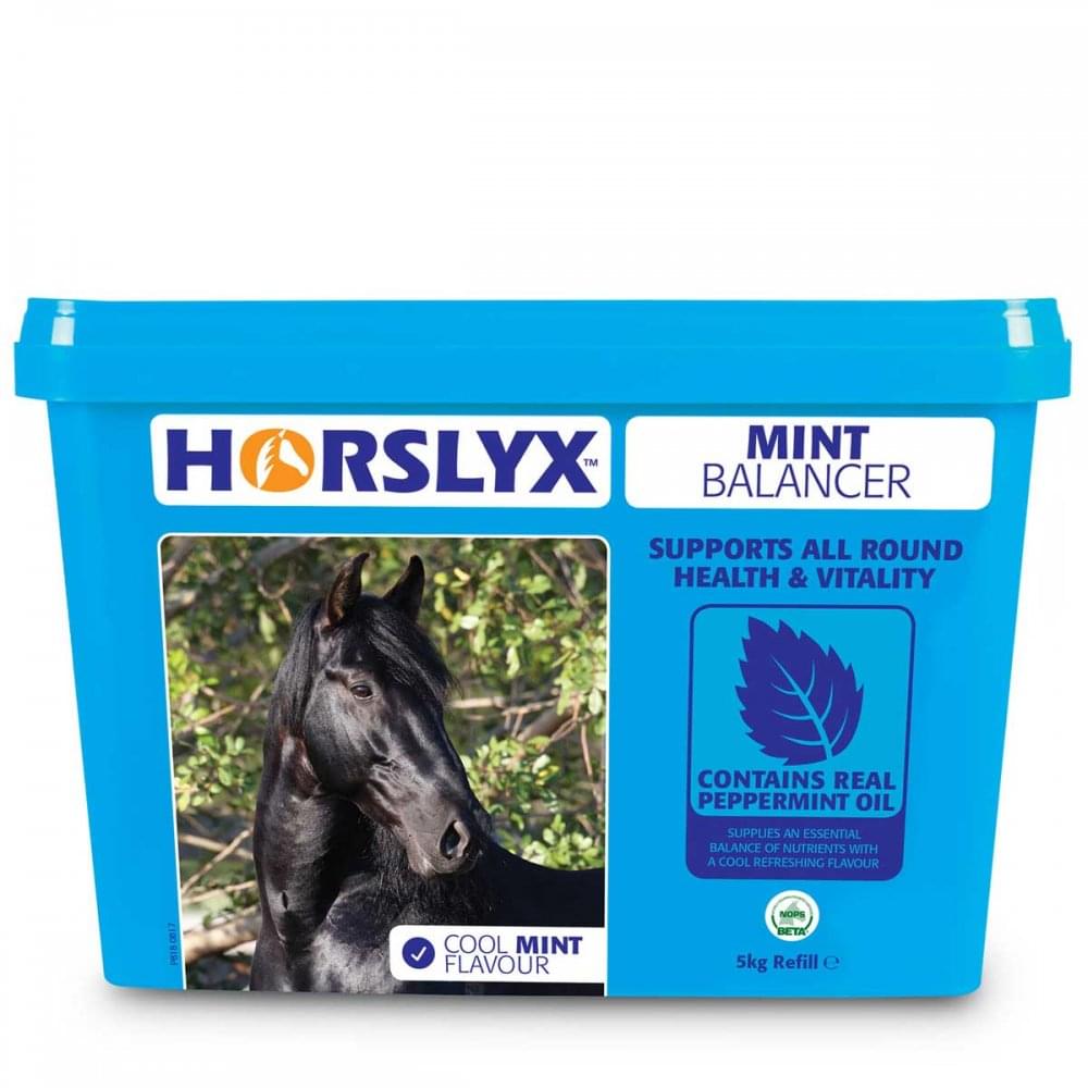 Horslyx Mint Balancer Stable Lick 5kg