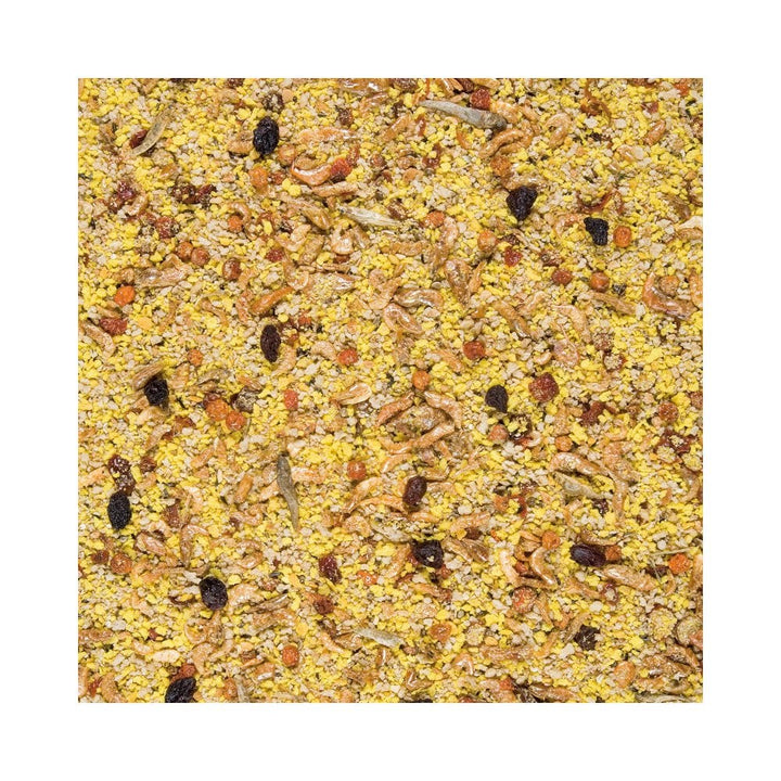 Versele-Laga Orlux Eggfood Dry For Parrots