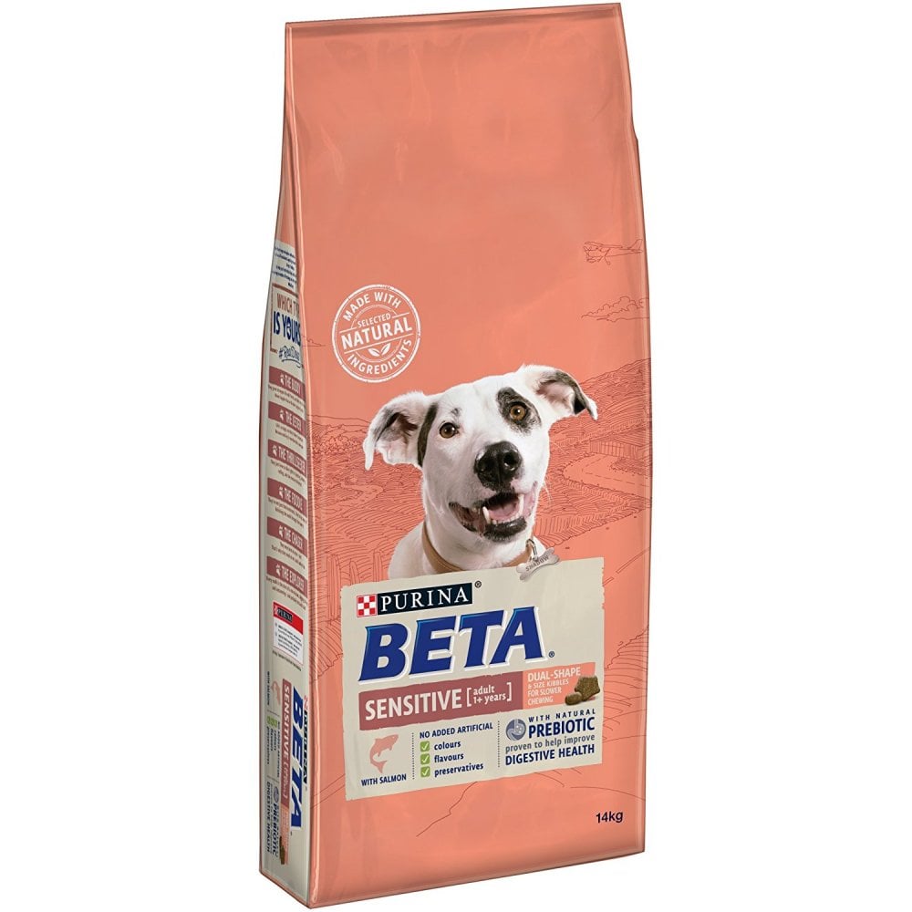 Beta Sensitive Dog Food with Salmon Rice