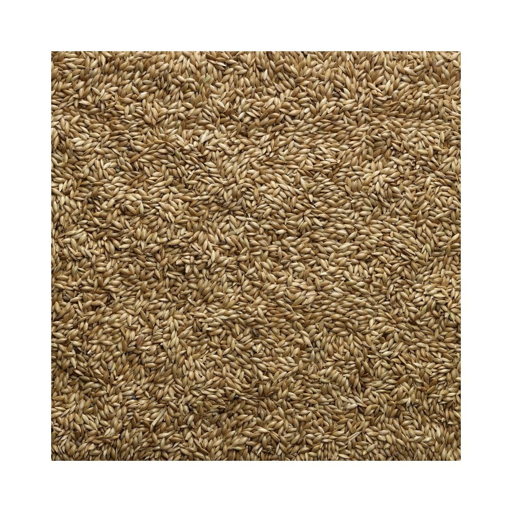 Bucktons Canary Seed