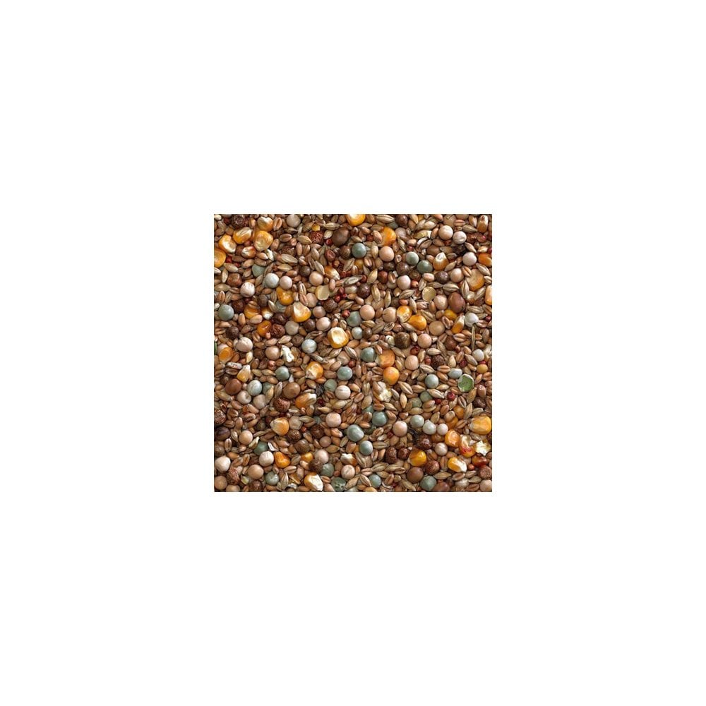 Bucktons Winter Economy Mix
