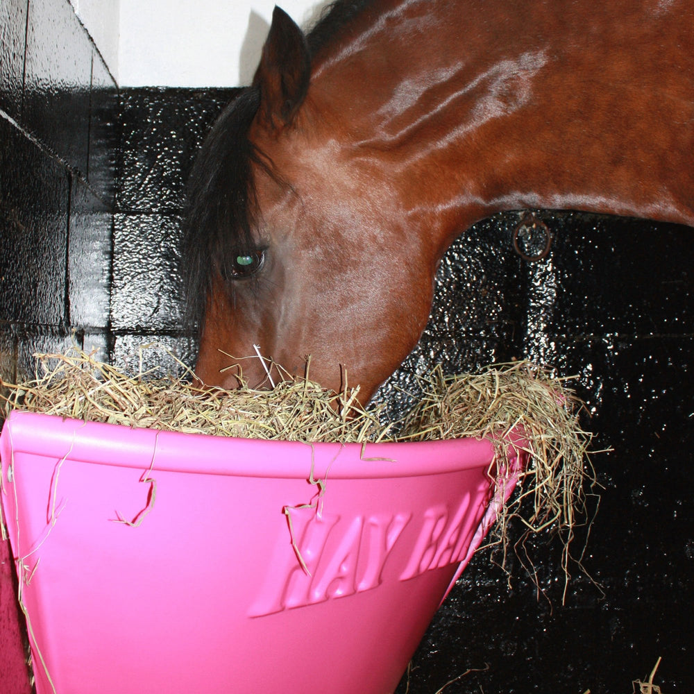 The Horse Hay Bar in Pink#Pink