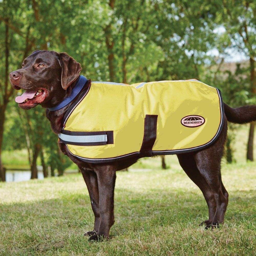 The Weatherbeeta Reflective Dog Rug in Yellow#Yellow