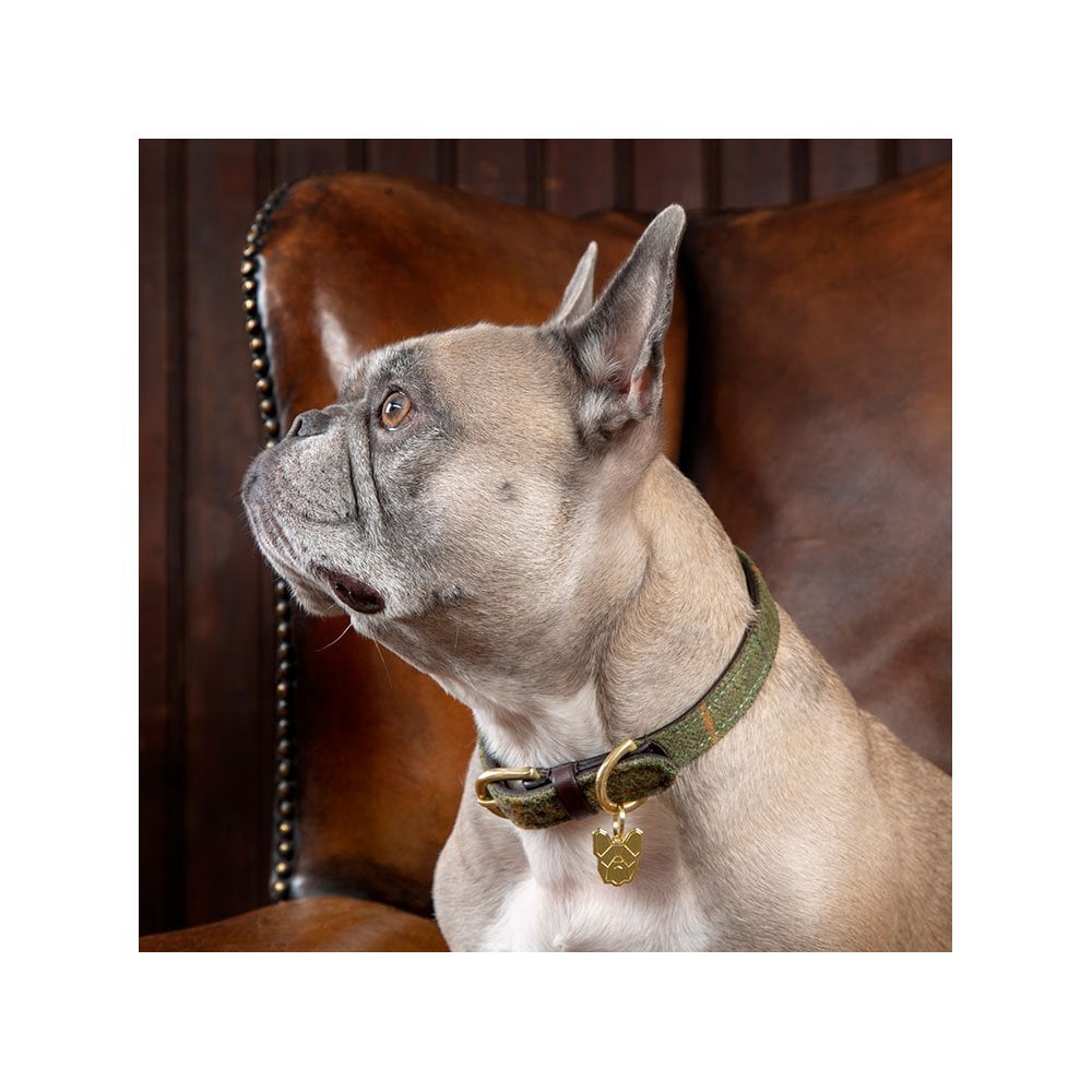 Digby & Fox Tweed Dog Collar