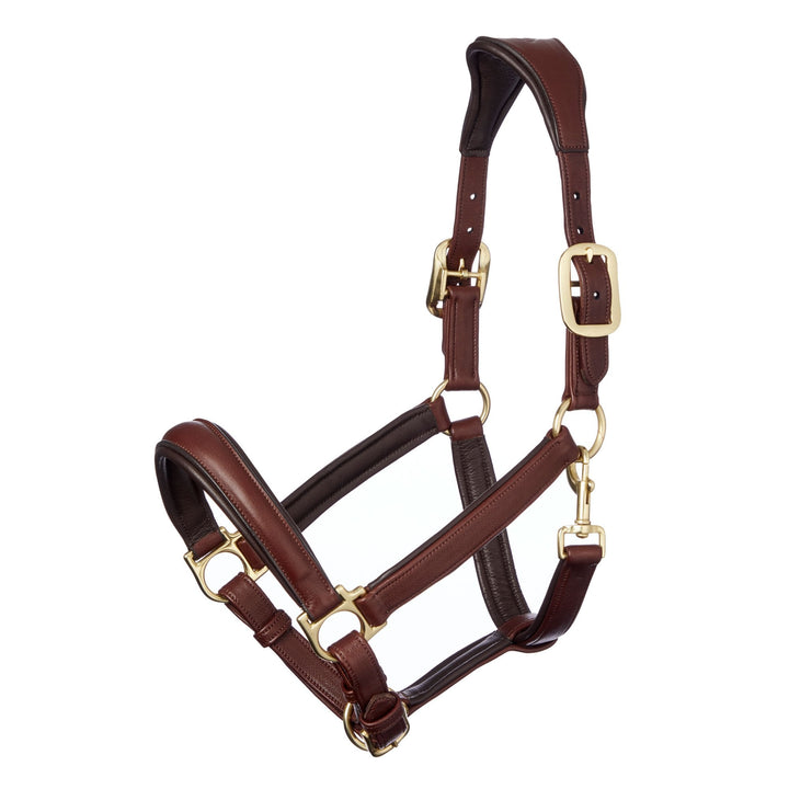 LeMieux Anatomic Leather Headcollar