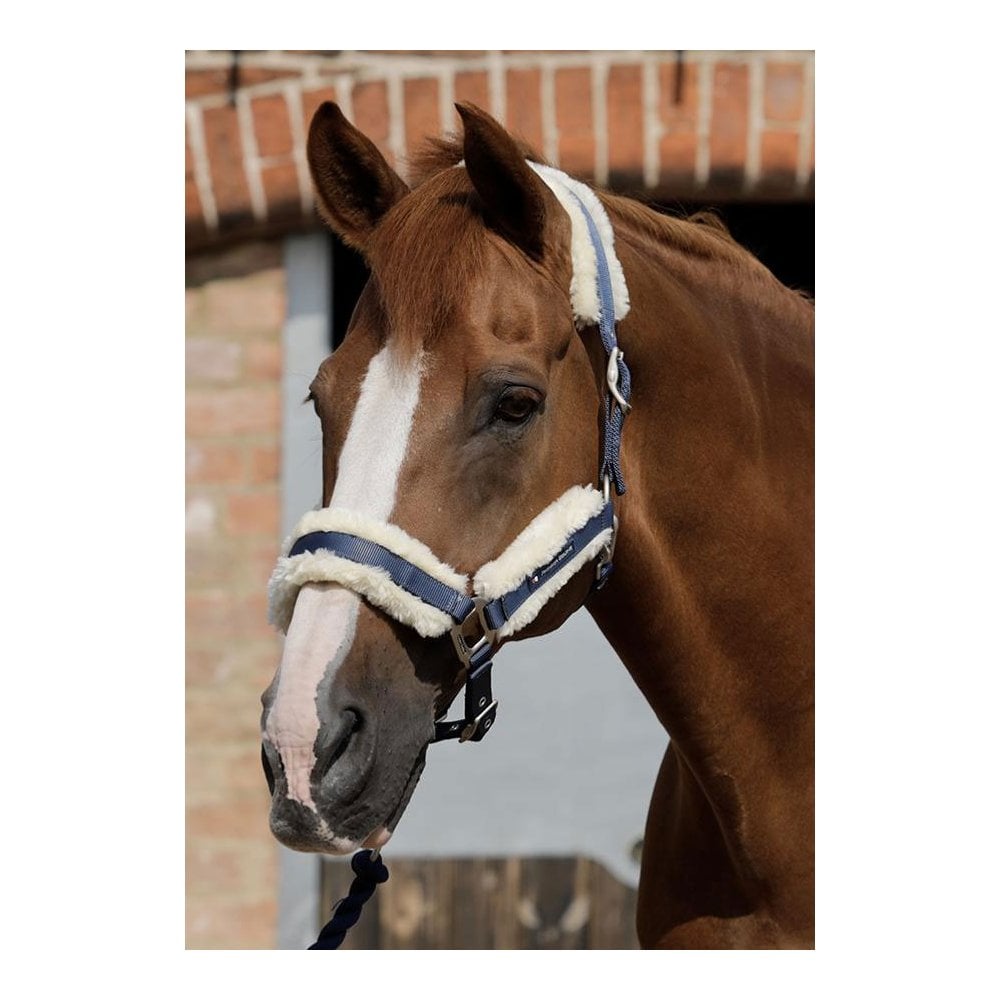 The Premier Equine Techno Wool Head Collar in Navy#Navy