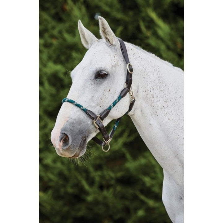 The Kincade Leather Rope Headcollar in Green#Green