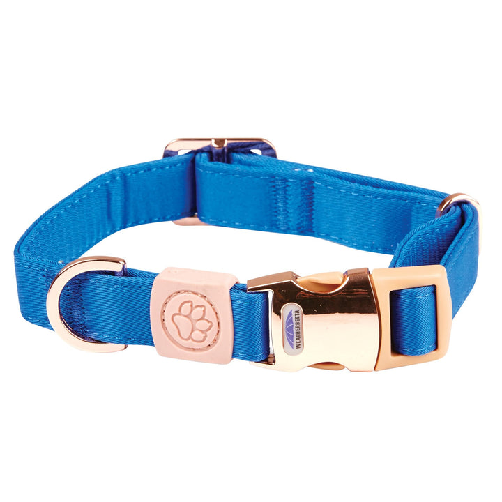 The WeatherBeeta Elegance Dog Collar in Blue#Blue