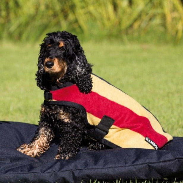 The Rambo Deluxe Fleece Dog Rug in Gold#Gold