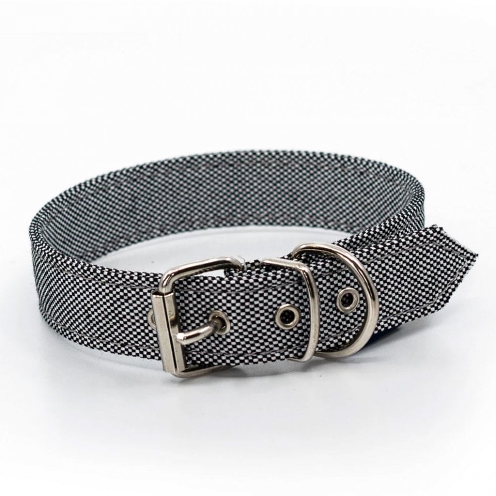 The Project Blu Alpha Eco Dog Collar in Grey#Grey
