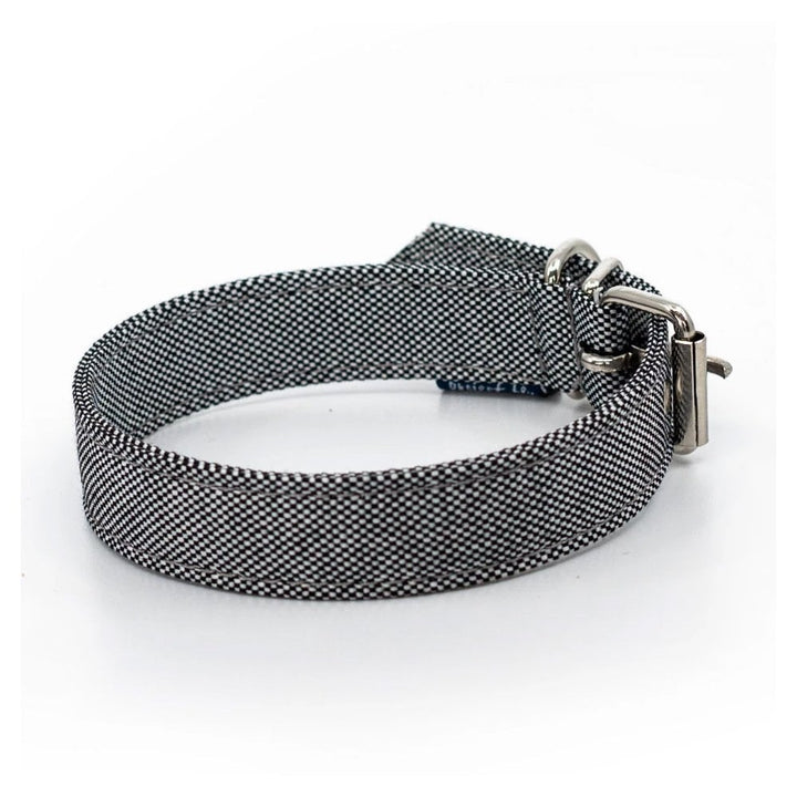 Project Blu Alpha Eco Dog Collar