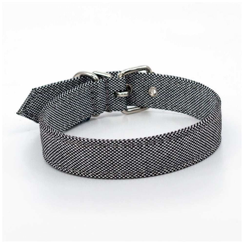 Project Blu Alpha Eco Dog Collar