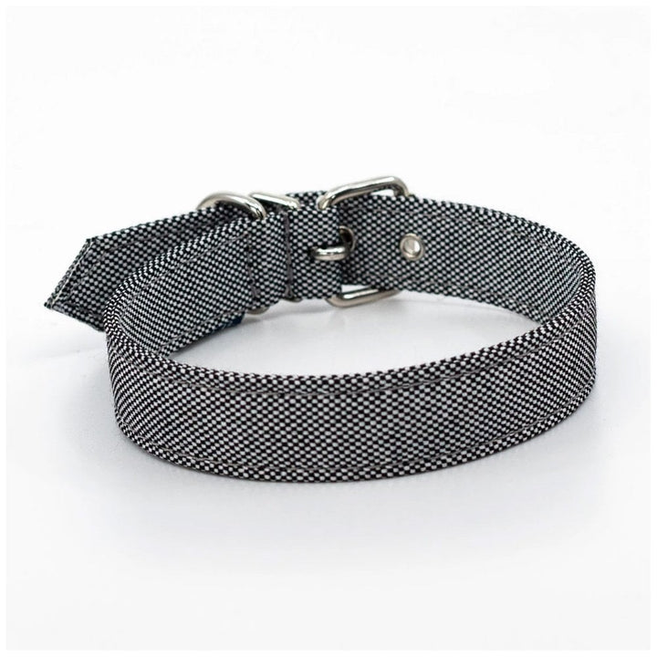 Project Blu Alpha Eco Dog Collar