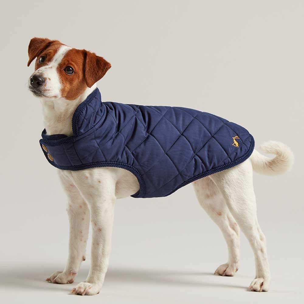 The Joules Newdale Quilted Dog Coat in Navy#Navy