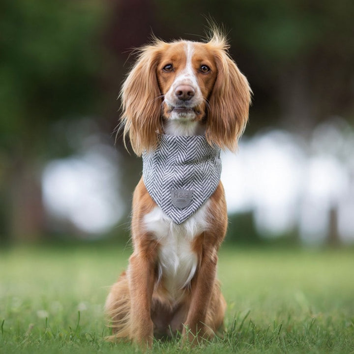 Hugo & Hudson Herringbone Bandana for Dogs