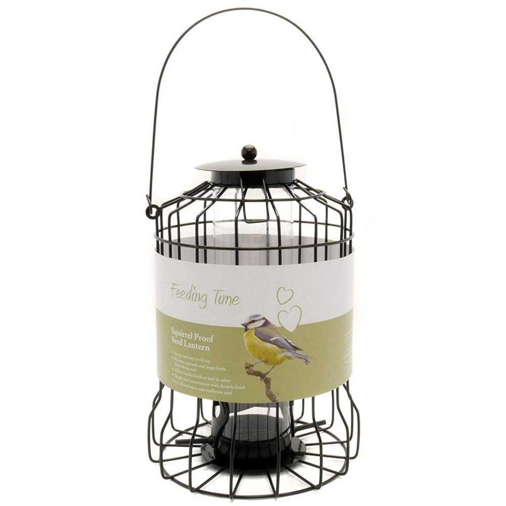 Deluxe Squirrel Proof Bird Seed Feeder