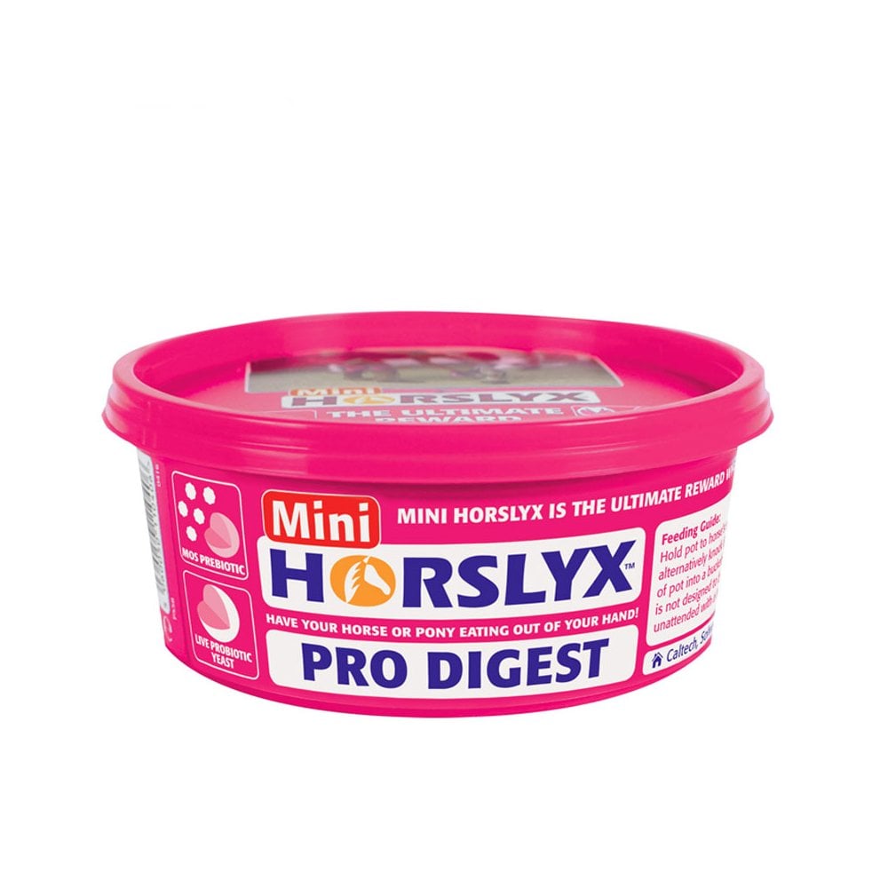Horslyx Pro Digest Mini Lick 650g