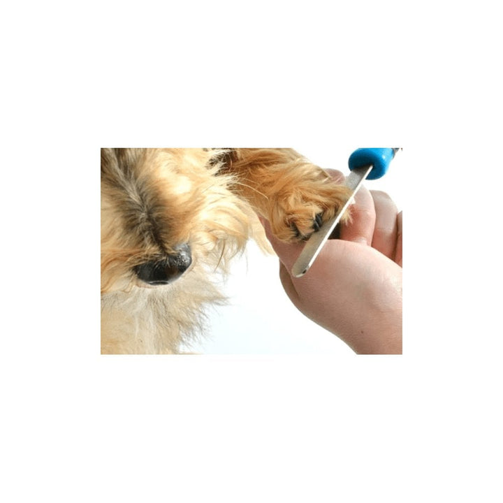 Ancol Nail File for Dogs & Cats